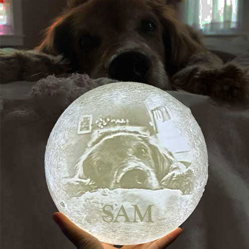 Custom 3D Lunar moon light lamp for Pets